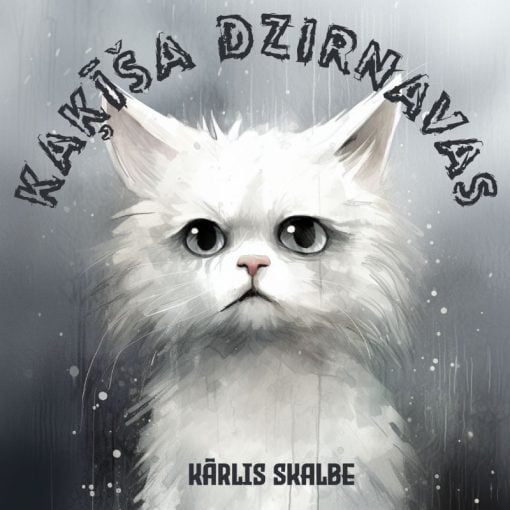 KAĶĪŠA DZIRNAVAS